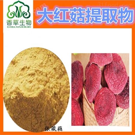 大红菇提取物10:1醇提野生蘑活性肽粉