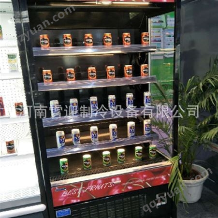 雪迎LFD系列自携立风柜 商用饮品展示水果蔬菜保鲜柜 立式冷藏风幕柜