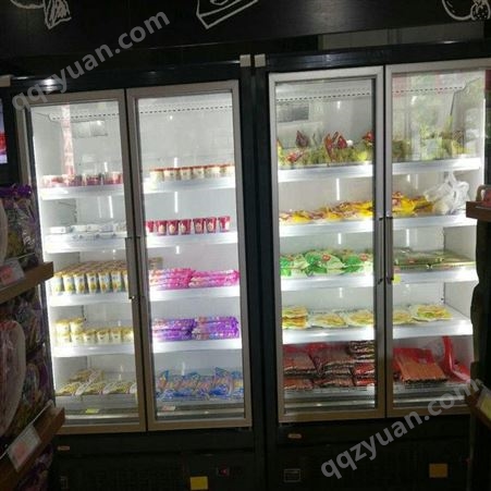  冷藏柜啤酒便利店大容量冰柜超市立式牛奶饮料冷藏雪迎展示柜