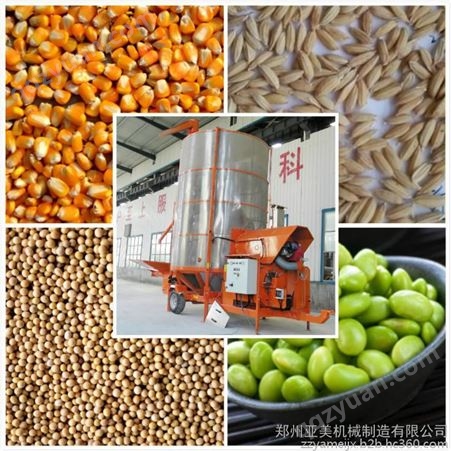 郑州亚美YM200型粮食干燥机 谷物烘干机 水稻烘干机厂家