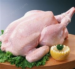 西安炸鸡原材料 西装鸡批发出售
