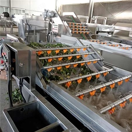 果蔬清洗机 桑葚去泥加工挑选生产线 制造商