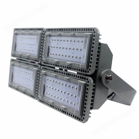 TG7407-F 50W泛光灯 LED正白光 IP65防水防尘灯