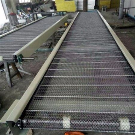 专业生产耐高温烘干网带输送机 果蔬爬坡式不锈钢网带输送机