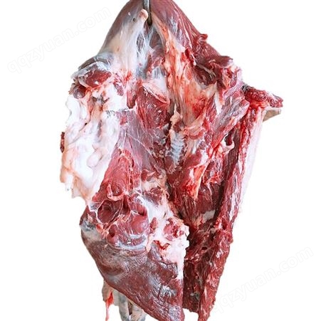 新鲜冷冻驴肉 茂隆冷鲜驴肉价格 品种多样肉质鲜美