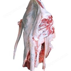 驴肉批发价格 茂隆冷冻驴肉生产厂家