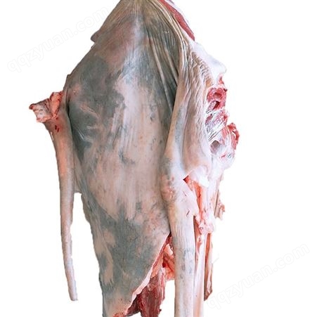 生驴肉冷冻 茂隆生驴肉批发价格 现宰驴肉生产厂家