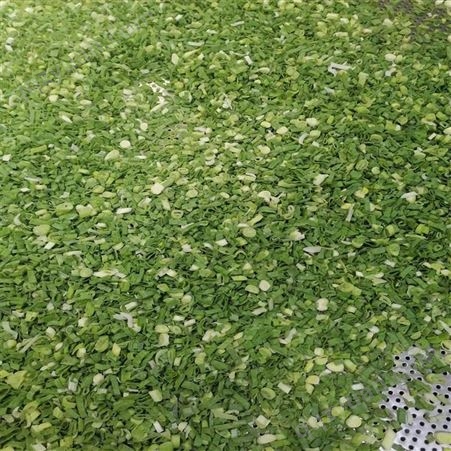 绿拓食品现货供应速冻香葱圈 调料用成品葱段袋装品质保障