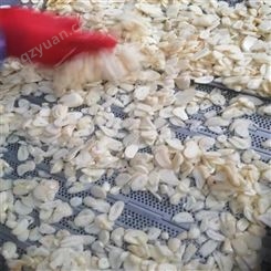 绿拓食品生产农副产品大蒜片 纯白蒜瓣出口加工