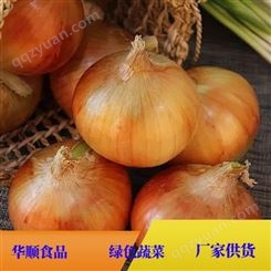 紫皮圆葱头黄皮大洋葱 可定制加工 蔬菜费用 华顺食品