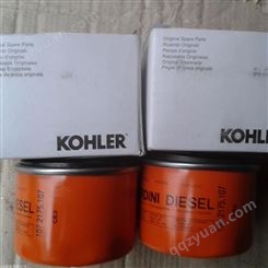 现货供应进口KOHLER科勒发电机配件 科勒油滤芯107.2175.107