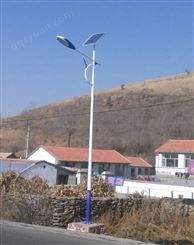 30W农村LED太阳能路灯厂家，LED太阳能灯厂家