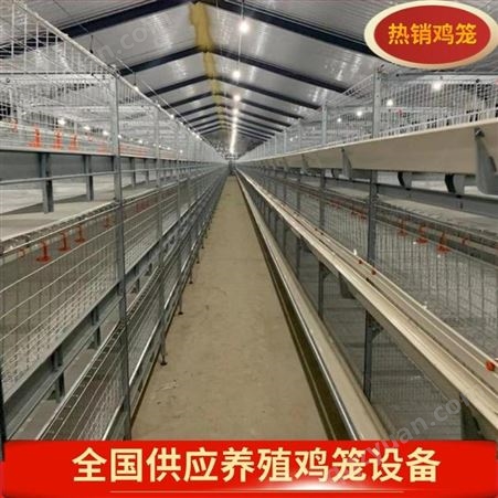 安装肉食鸡笼重叠式肉鸡笼育雏鸡笼自动出粪肉鸡笼肉鸡笼厂家