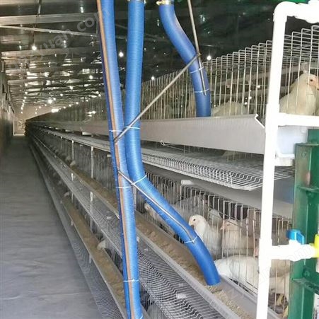 肉鸡养殖笼厂家供应养鸡设备鸡笼可定制养鸡笼子框架式鸡笼镀锌