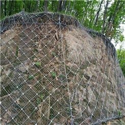 安平边坡防护网 钢丝绳防护网 主动sns防护网厂家