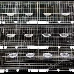 三层12个笼位鸽子笼 采用左右推拉门 四层16位弹簧门肉鸽养殖笼