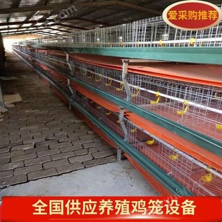 河南三层阶梯式蛋鸡养殖笼 价格便宜的鸡笼 鸡笼子包安装