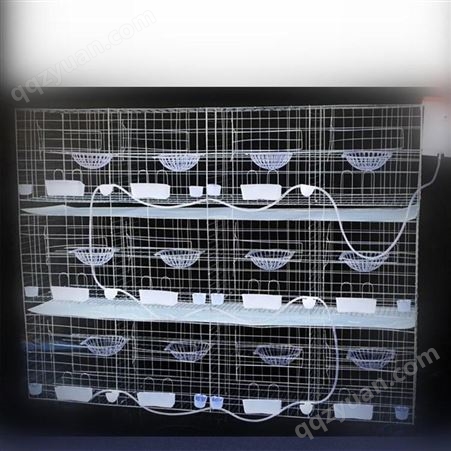 鸽子养殖用品种鸽大型养殖笼鸽棚三层自动清粪机