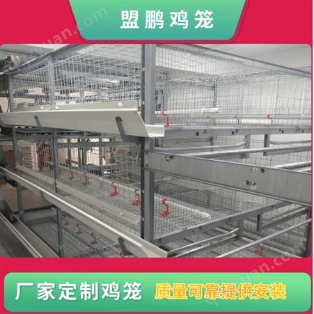 肉鸡笼网片 自动化肉鸡笼 四层阶梯肉鸡笼养殖 厂家批发