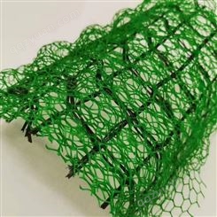绿化网 三维复合网垫 土工植被固土网 陆汛 量大支持定制做