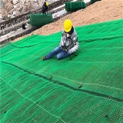路通生产定制 园林绿化三维土工网垫 塑料加筋植草网 护坡固土