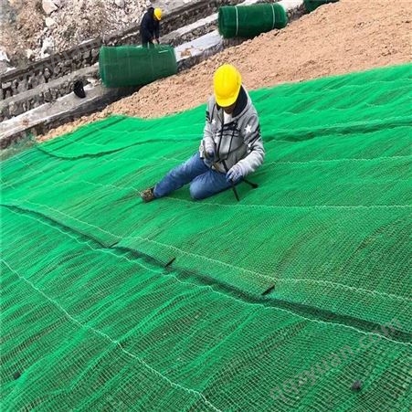 EM3/EM4/EM5路通生产定制 园林绿化三维土工网垫 塑料加筋植草网 护坡固土
