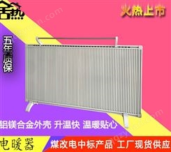碳纤维电暖器 碳纤维取暖器 家用省电暖气片 壁挂式电暖器