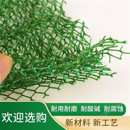 产地工厂供应塑料三维植被网垫 种草护坡三层绿色三维植被网
