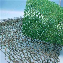 三维植被网护坡绿化网工地固土用三维植被网植草护坡塑料网三维网