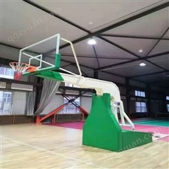 室内外两用豪华电动液压篮球架 厂家供应各种颜色各种尺寸篮球架 篮球架生产厂家