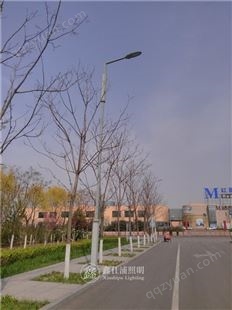 唐山动物园道路照明工程