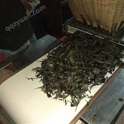茶叶微波干燥设备 山东亚安机械设备有限公司