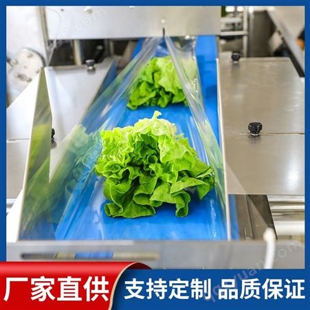 多功能枕式包装机 全自动蔬菜叶菜包装机 大型枕式蔬菜包装机