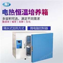 上海一恒 电热恒温培养箱 DHP-9272 限温报警系统