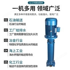 广州羊城VMP（R）型立式多级离心泵 小流量高扬程高楼增压水泵