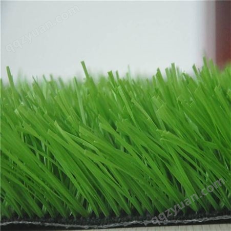 塑料草坪 室外人工草皮 厚度可定制
