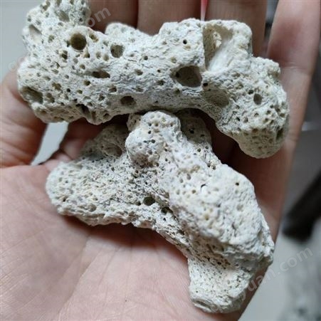 国宇 珊瑚骨 鱼缸造景用 水族过滤材料 珊瑚砂 可定制加工
